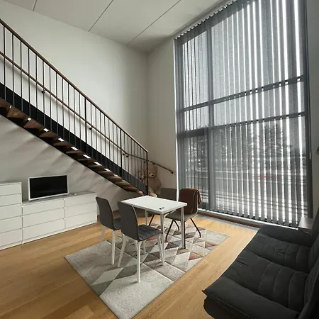 Spacious Loft Apartment With A Lake View Tampere Exterior photo