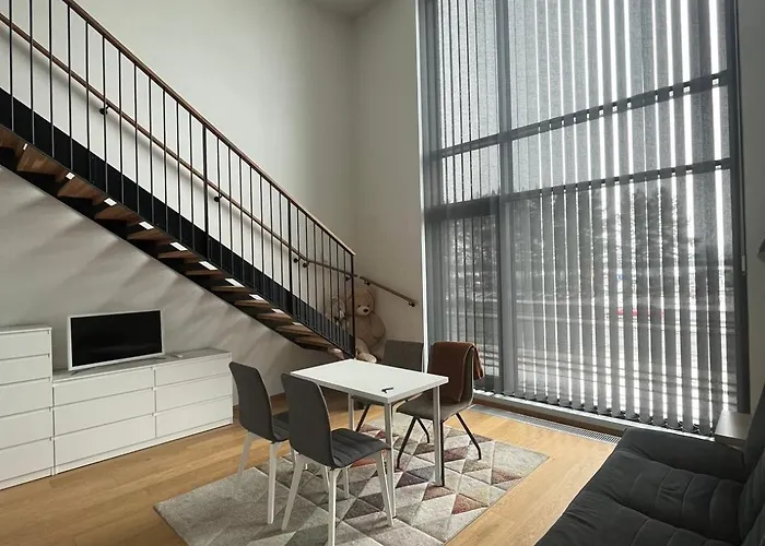 Spacious Loft Apartment With A Lake View
